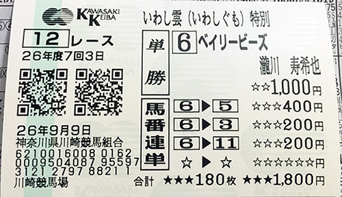 いわし雲特別馬券