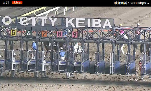 ゲート入りを映さない大井競馬のカメラ