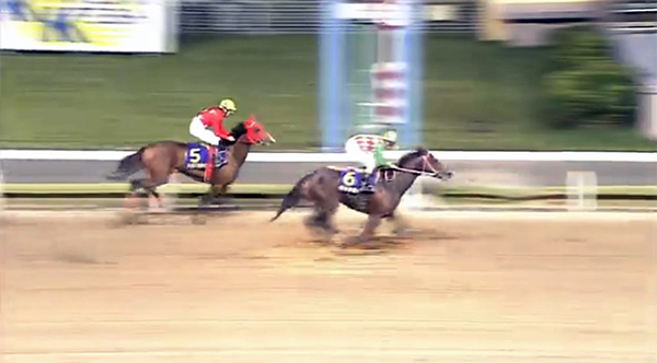 鎌倉記念ゴール前