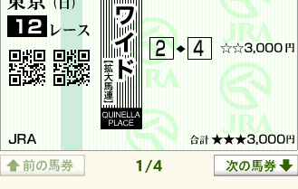 2018年2月11日・最終レース馬券