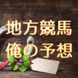 2019年 羽田盃-男の予想-