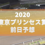 過去のデータで予想する2020東京プリンセス賞