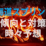 【2020年】第24回北海道スプリントカップの傾向と対策と予想と。