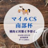 【2020年】第33回マイルCS南部杯の傾向と対策と予想と。
