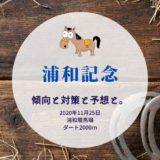 【2020年】第41回浦和記念の傾向と対策と予想と。