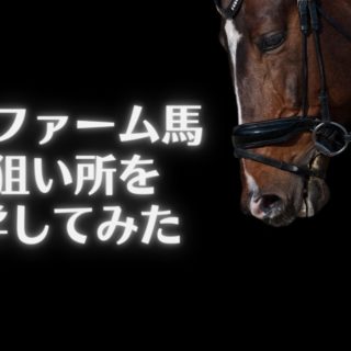 ミルファーム馬の狙い所を調査してみた